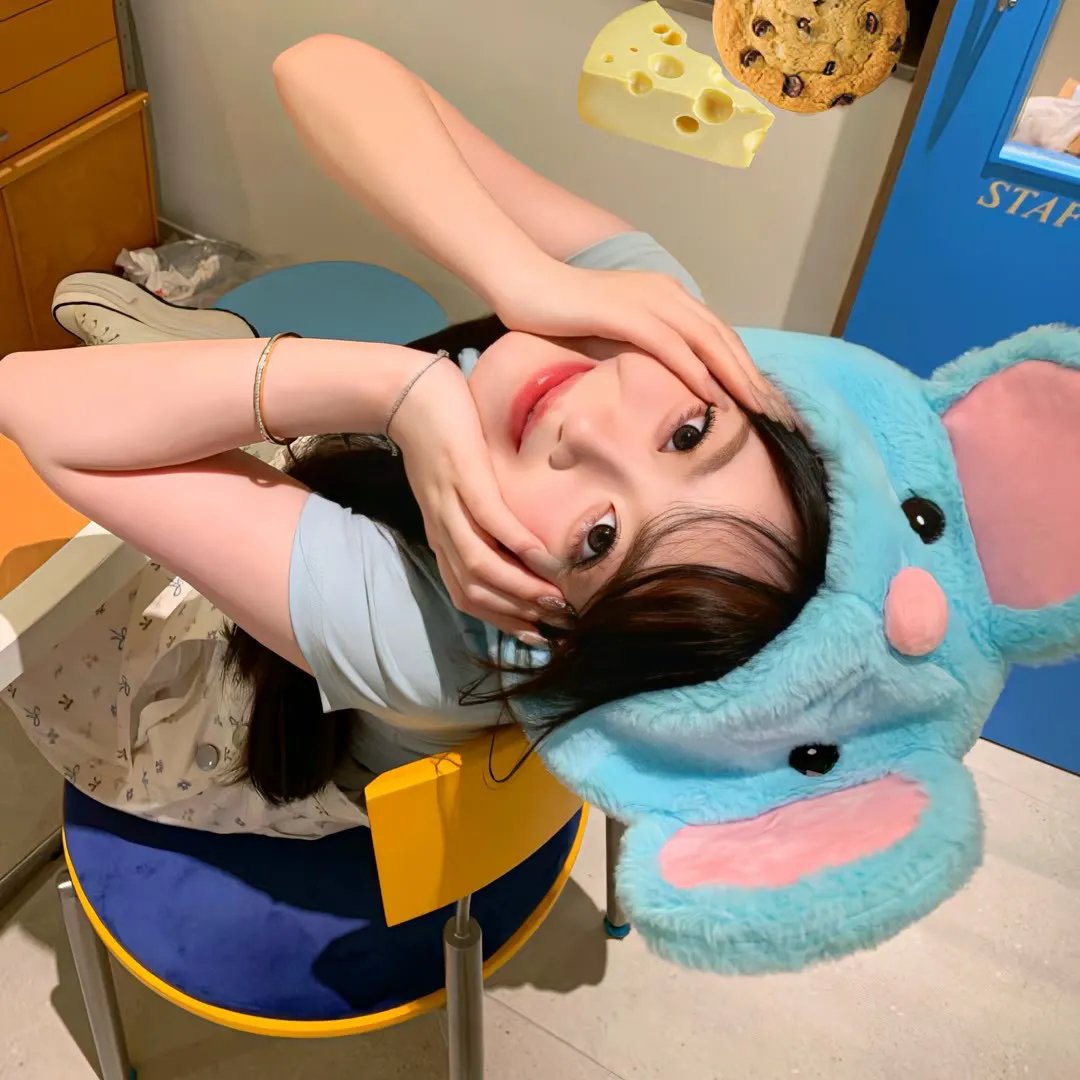 鱼与猫